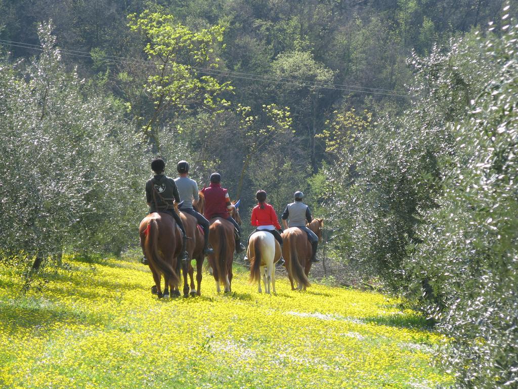 Paglia E Fieno Villaga Exterior foto