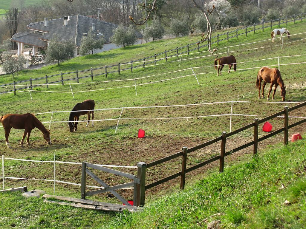 Paglia E Fieno Villaga Exterior foto