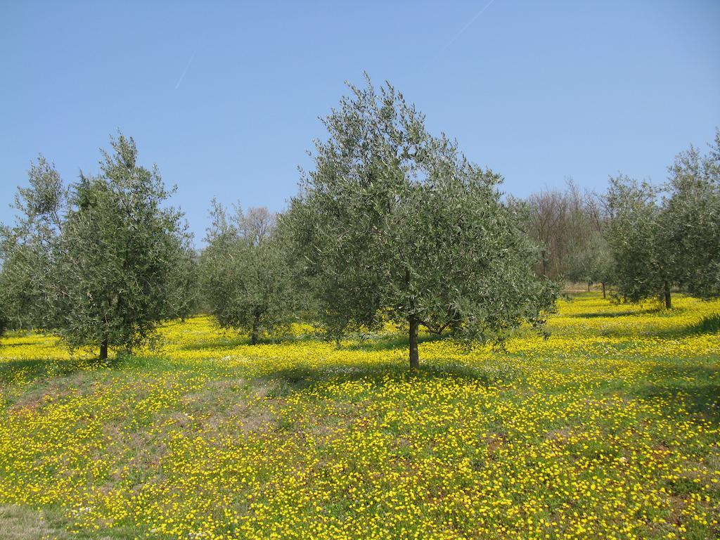 Paglia E Fieno Villaga Exterior foto